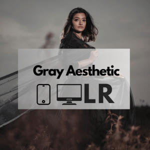 Profesjonalne Presety Adobe Lightroom Gray Aesthetic